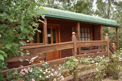 Sanctuary House Resort3