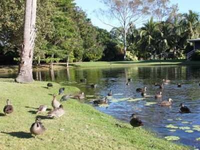 Sanctuary Lakes Beach Resort3