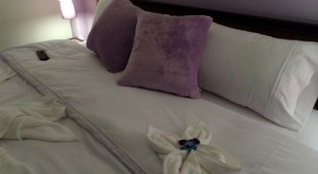 บัทเทอร์ฟลาย ภูเก็ต (Butterfly Phuket)0