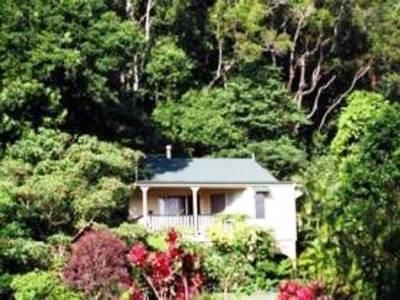 Falls Rainforest Cottages1