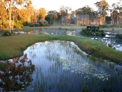 Lake Weyba Cottages0