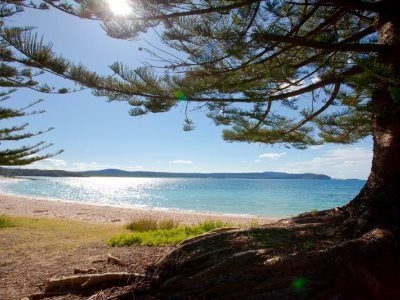 Murramarang Beachfront Nature Resort4