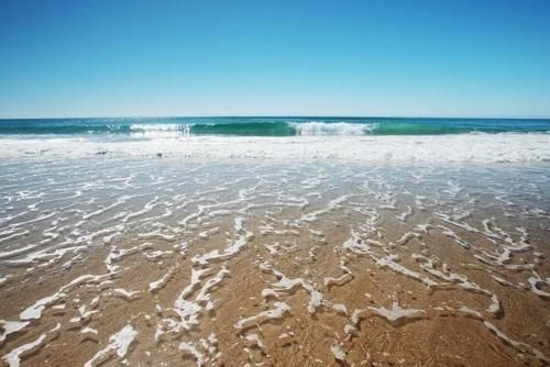 เซิร์ฟเฟอร์ส อินเตอร์เนชั่นแนล อพาร์ตเมนต์ส รีสอร์ท (Surfers International Apartments Resort)1