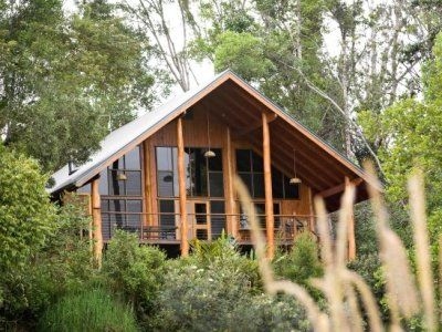 บ้านต้นไม้ในป่าฝน กันสาด (Canopy Rainforest Treehouses)0