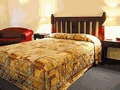 Comfort Inn Tree Top Walk2