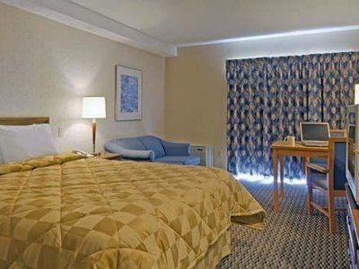 Comfort Inn Corner Brook3
