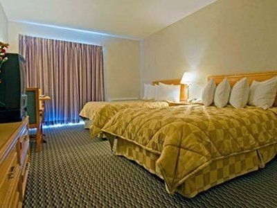 Comfort Inn Corner Brook2
