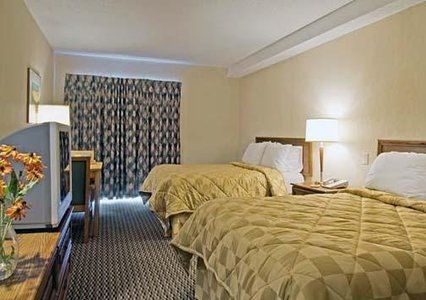 Comfort Inn Dryden1