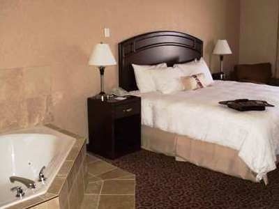 Hampton Inn Edmonton Int'l Airport3