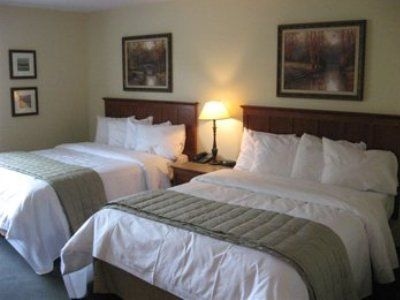 Best Western St. Bernard4