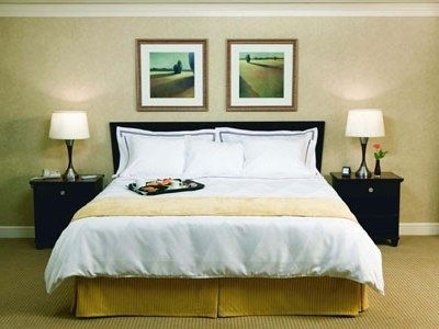 Radisson Suite Toronto Airport2