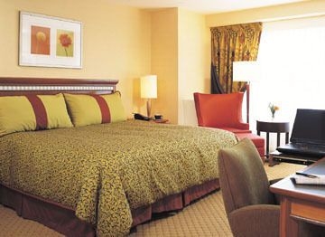 Renaissance Downtown2