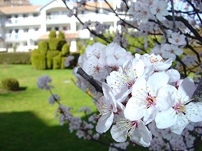 Gatsby Mansion Inn And Restaurant2
