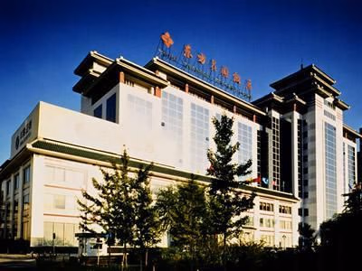 Oriental Garden0