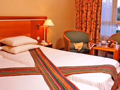 Best Western De La Foret D'Orient3