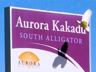 Aurora Kakadu2