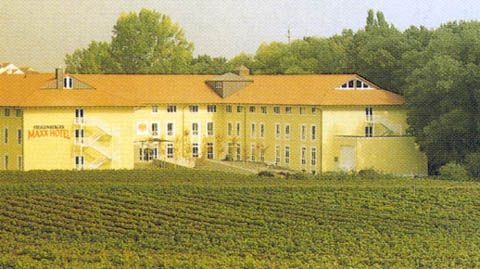 Steigenberger Deidesheim0
