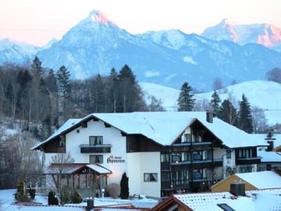 Alpenrose1