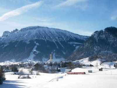 Flora3