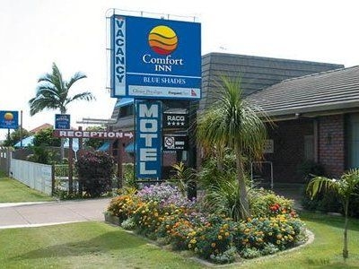บลู เชดส์ โมเต็ล (Blue Shades Motel)1