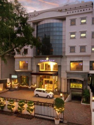 Golden Tulip0