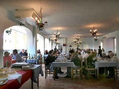 Delle Vigne4