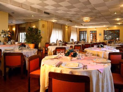 Conchiglia D'Oro3