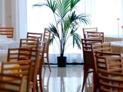 Idea Pomezia2