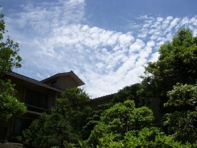 ทาไมกัน (Tamaikan)0