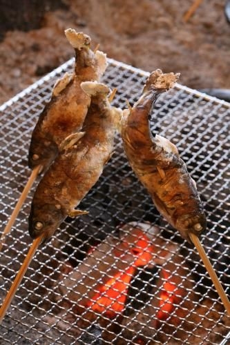 เรียวกัง วะกะบะ (Ryokan Wakaba)4