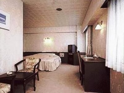Nikko Palace Hotel Ota2