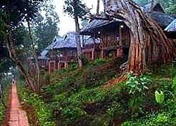 Stupa Mountain Lodge0