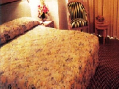 Shahzan Inn1