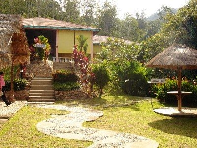 Rainforest Resort1