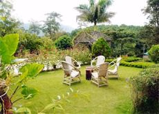 Pine Hill Resort2