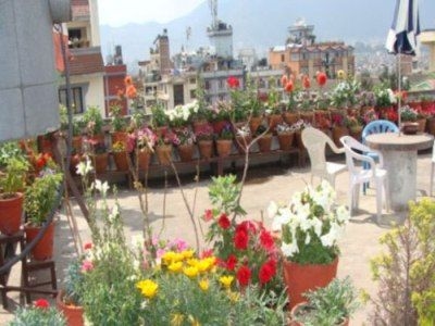 Thamel2