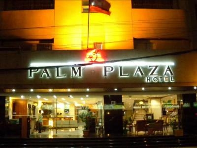 Palm Grove Hotel Manila0