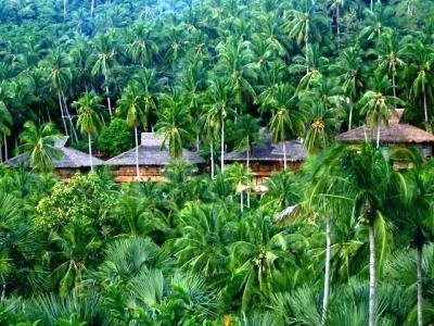 Coco Beach Island Resort0
