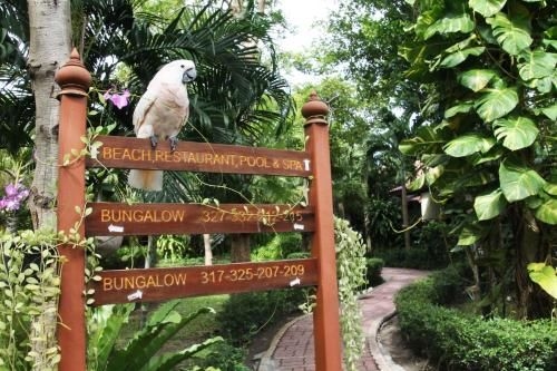 พินนาเคิล สมุย รีสอร์ต (Pinnacle Samui Resort)4