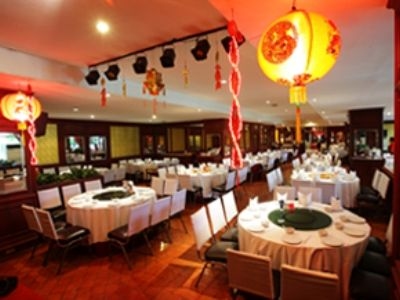 Golden Dragon2