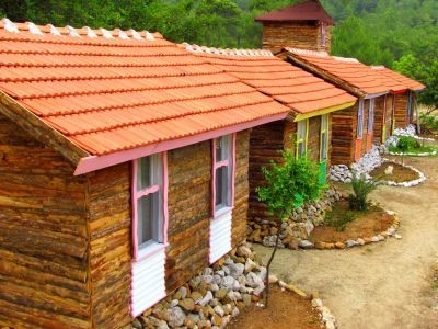 Jungle Bells Hostel1