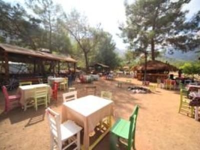 Jungle Bells Hostel3