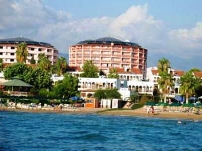 Lioness2