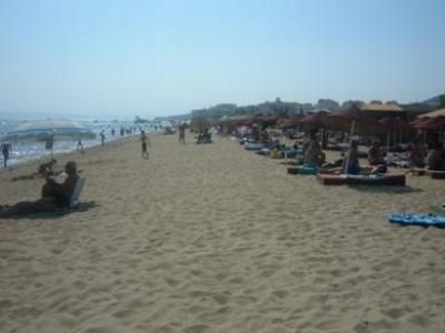 Palmera Resort1