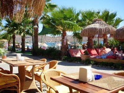 Sun Club Bodrum4