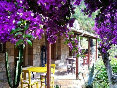 Dede Garden1