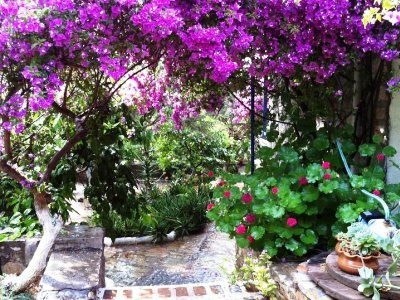 Dede Garden2