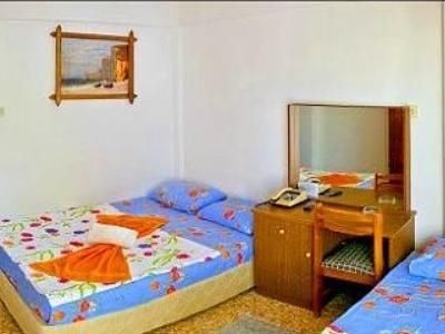Belgin3