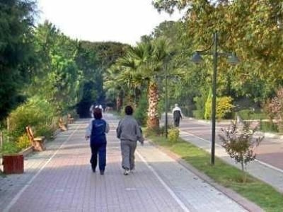 Park1