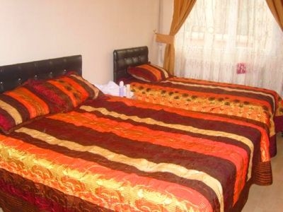 King Palace4
